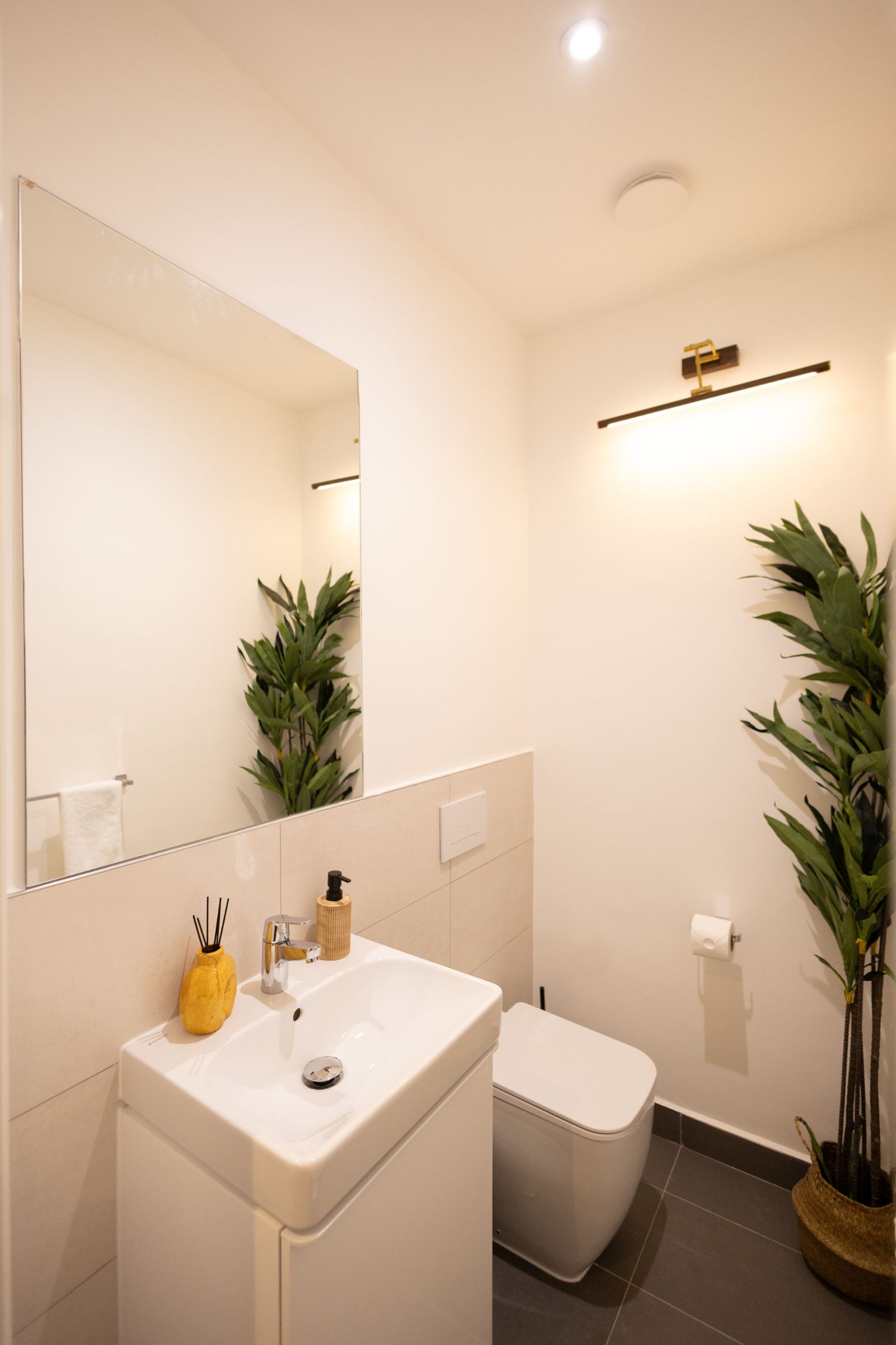 Guest toilet